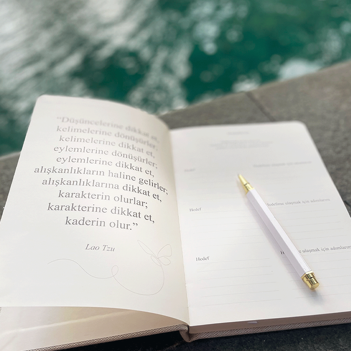 Dharma Farkındalık Günlüğü, Natura