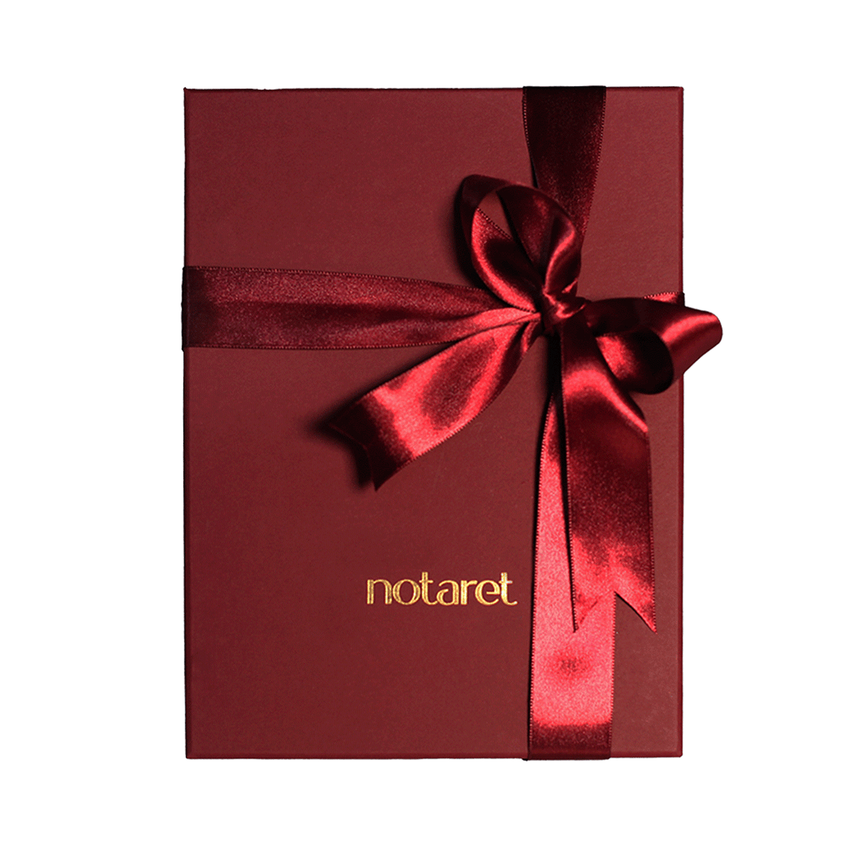 Noche Çizgili Defter