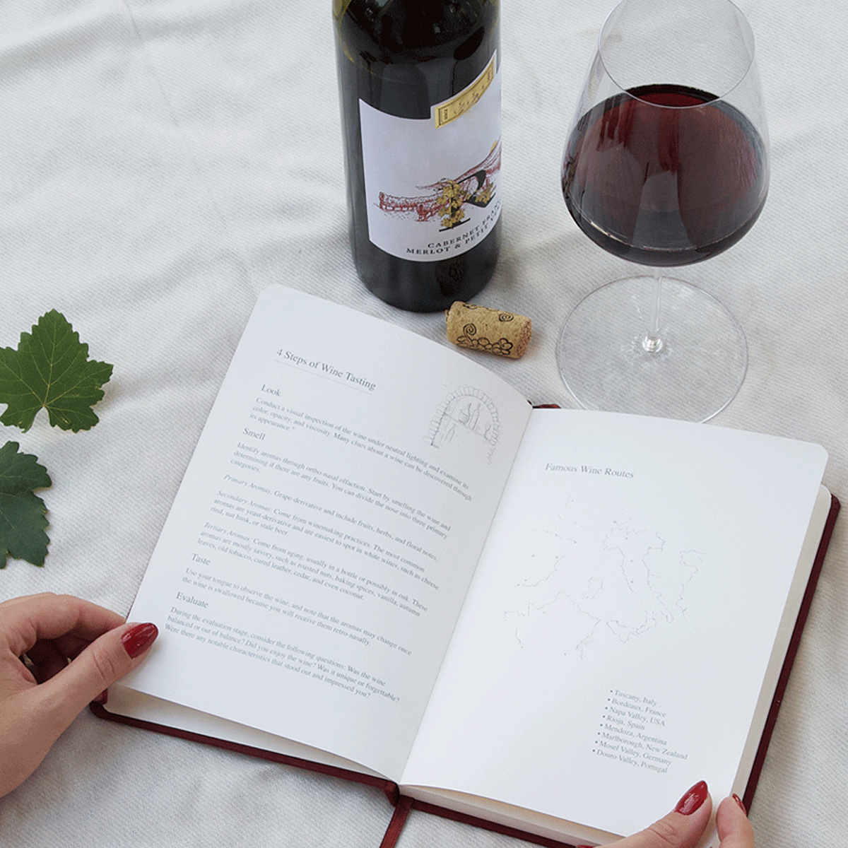 Vino Şarap Tadım Defteri