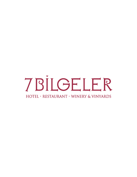 7BİLGELER